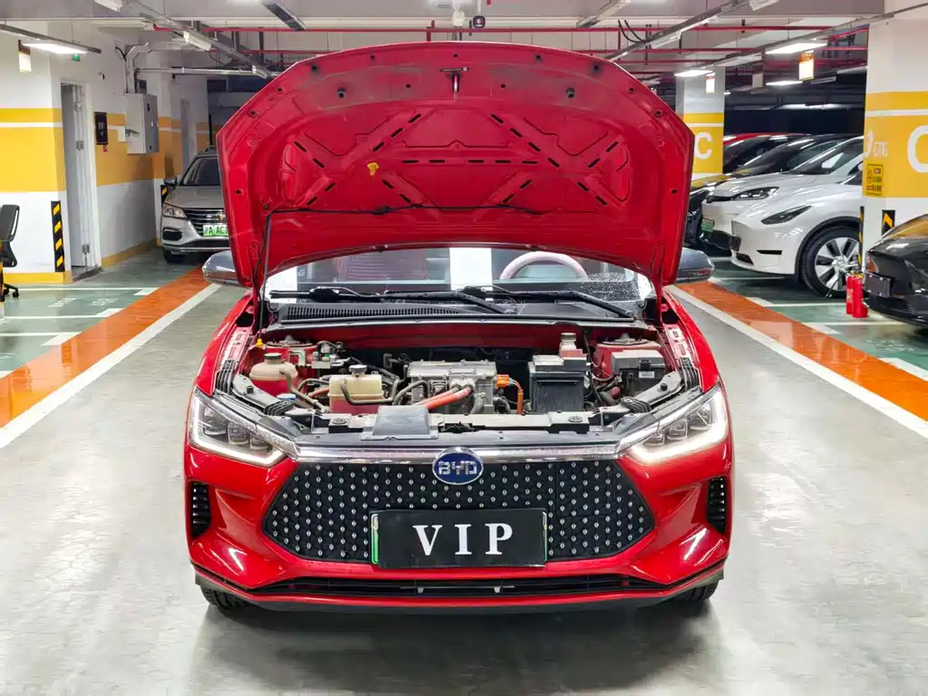 BYD e2 2019 High Range Edition Chuang · Prestige