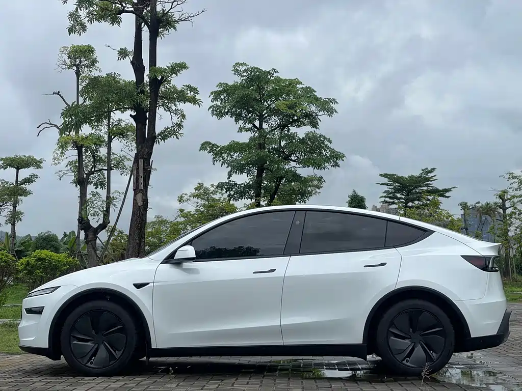 Model Y 2025 Rear-Wheel Drive