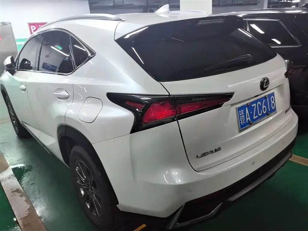 Lexus NX 2020 200 FWD Fengxing Edition China VI
