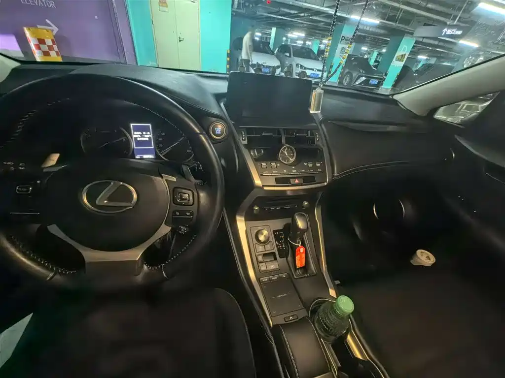 Lexus NX 2020 200 FWD Fengxing Edition China VI