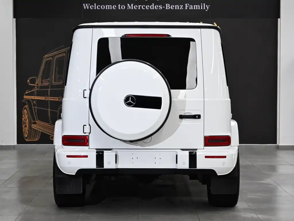 Mercedes-Benz G-Class 2021 G 500