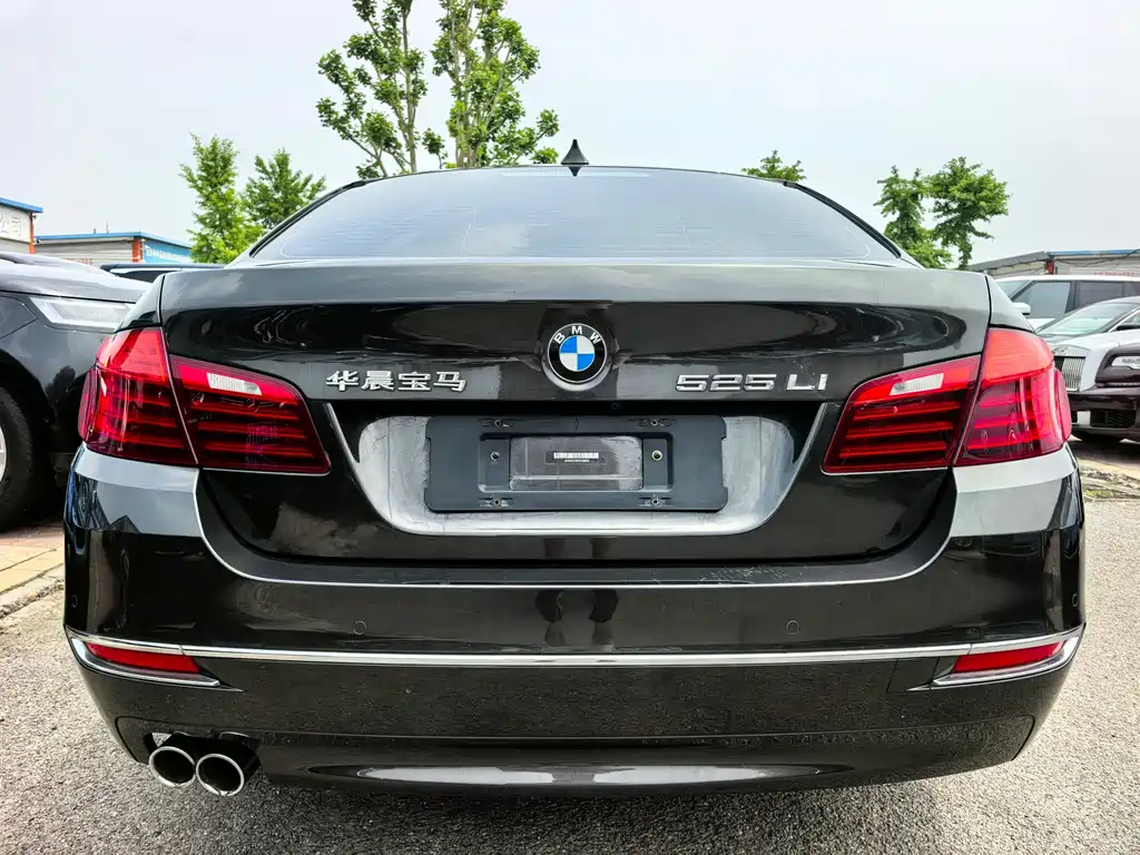 BMW 5 Series 2014 525Li Luxury Design Package