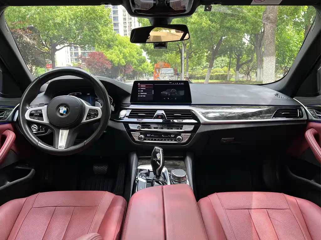 BMW 5 Series 2020 530Li Leading Edition M Sport Package - фото 12