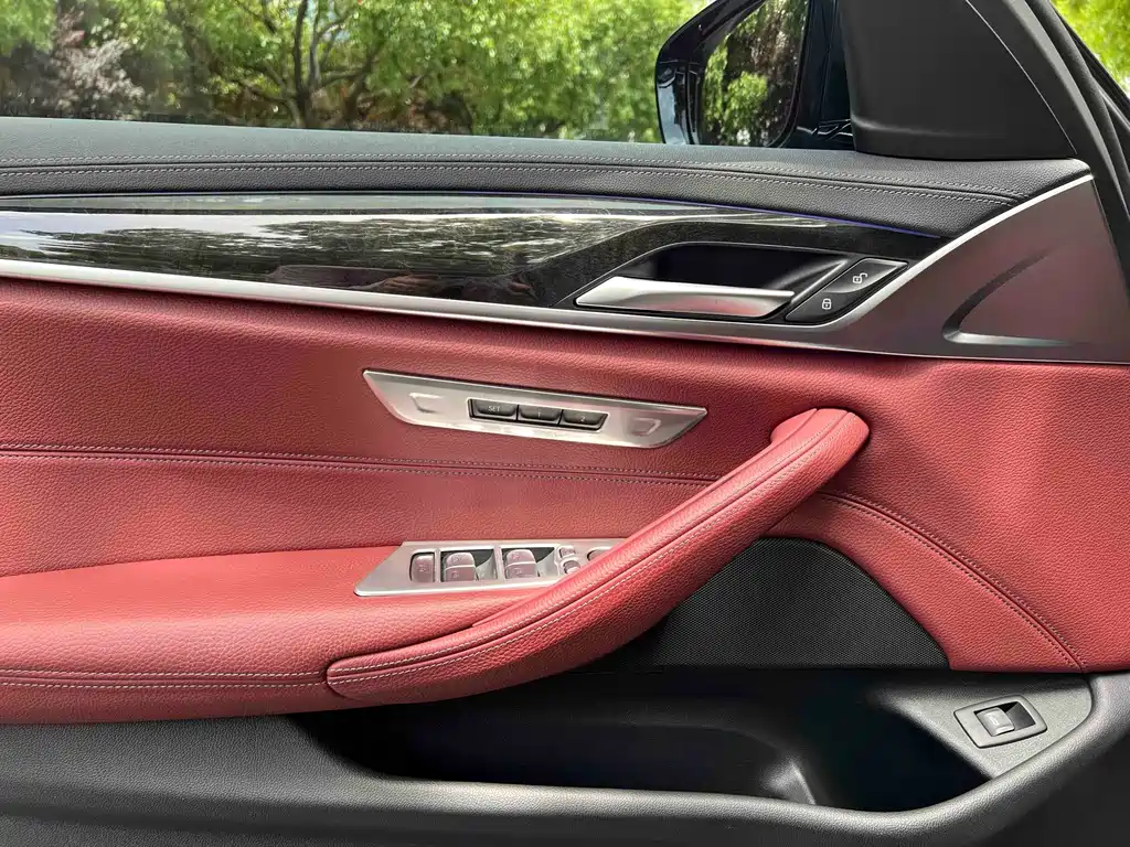 BMW 5 Series 2020 530Li Leading Edition M Sport Package - фото 14
