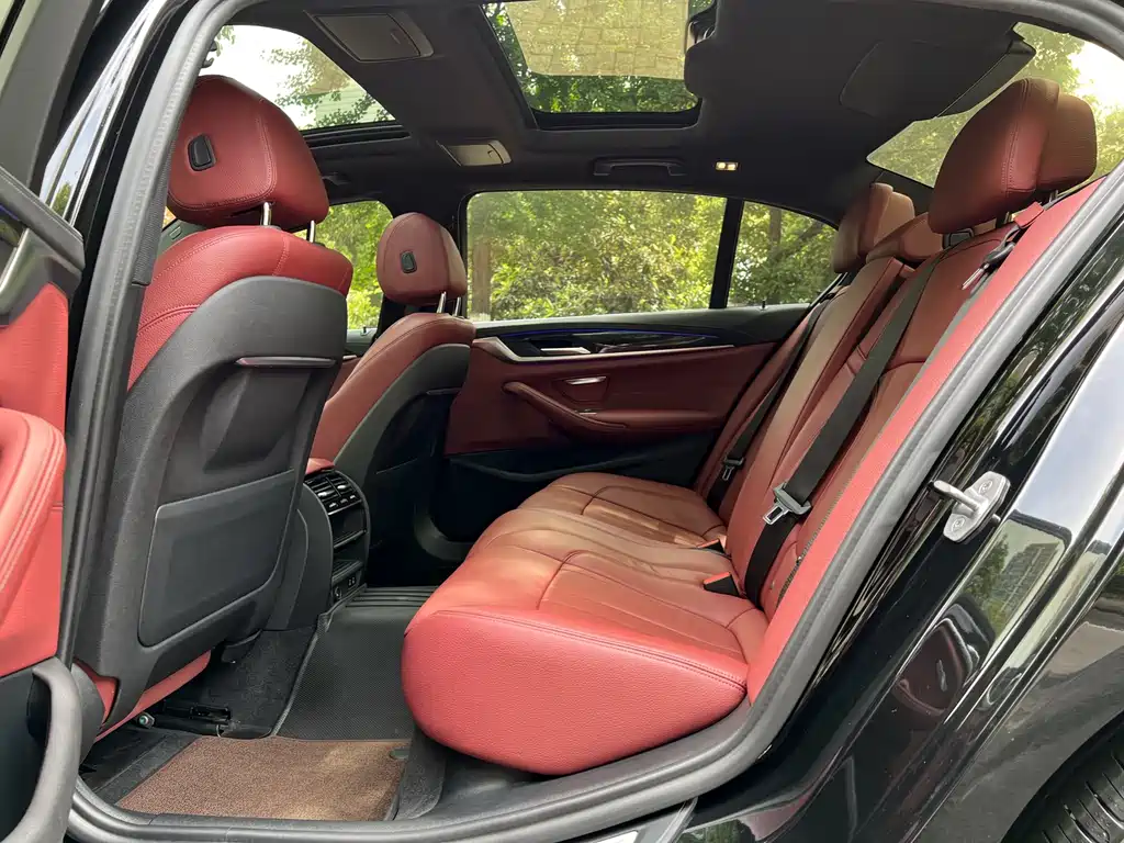 BMW 5 Series 2020 530Li Leading Edition M Sport Package - фото 8