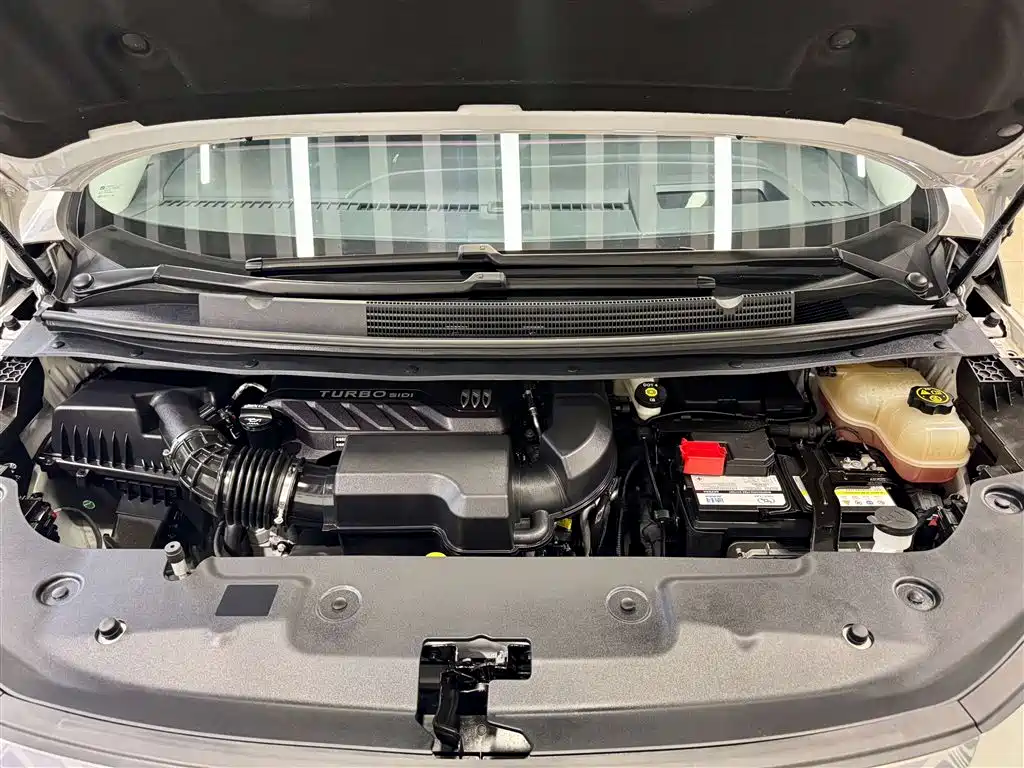 Buick Century 2023 2.0T 6-Seater Yunshi Edition