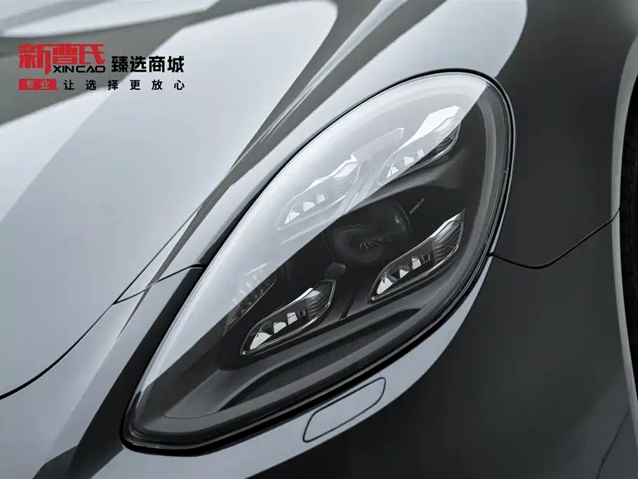 Panamera 2020 Panamera 10th Anniversary Edition 2.9T