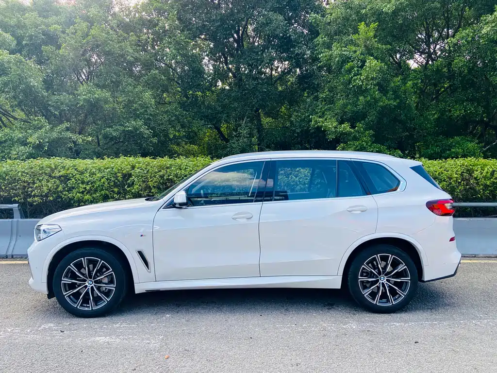 BMW X5 2022 xDrive 30Li Exclusive Edition M Sport Package