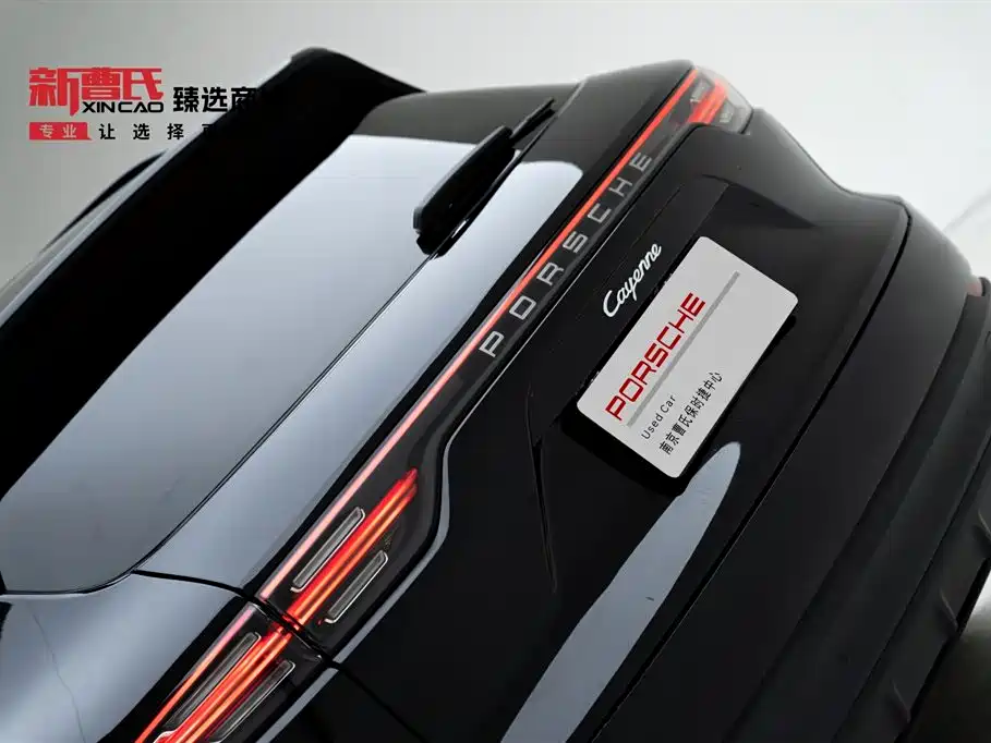 Porsche Cayenne 2022 Cayenne 3.0T Platinum Edition
