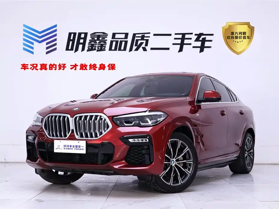 BMW X6 2020 xDrive30i M Sport Package