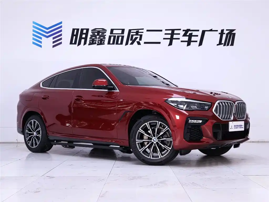 BMW X6 2020 xDrive30i M Sport Package