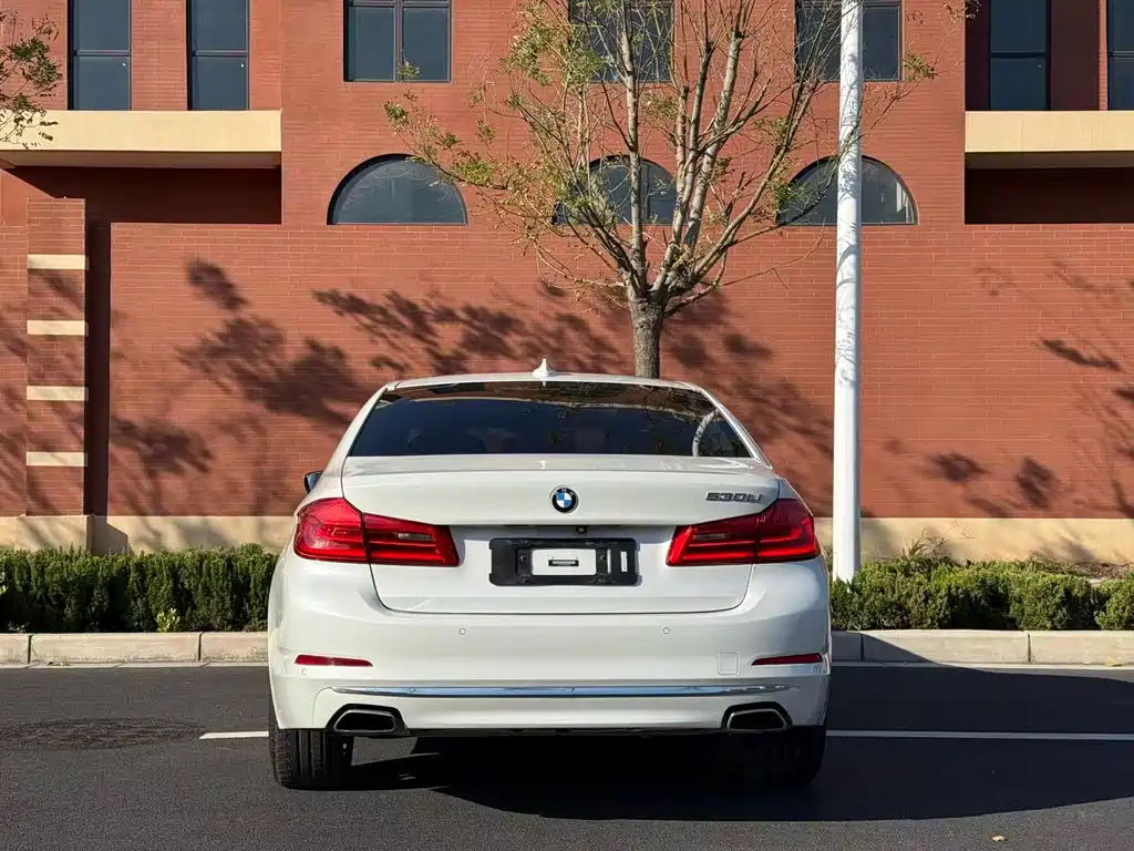BMW 5 Series 2019 530Li Leading Edition Luxury Package