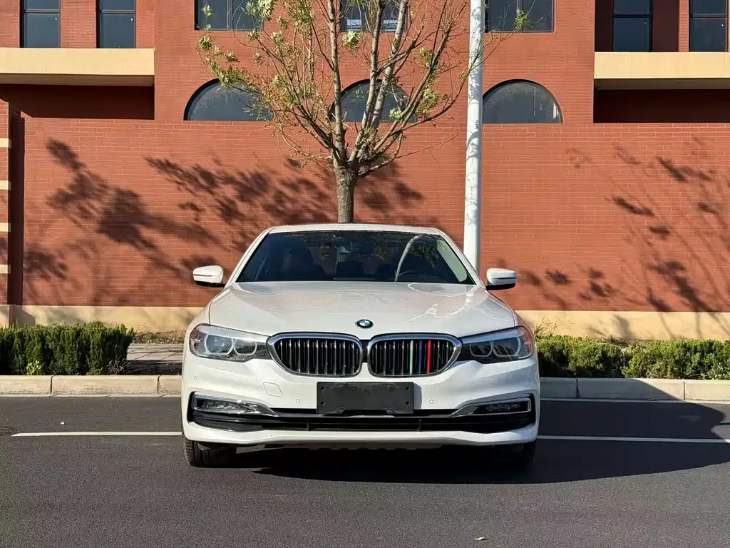 BMW 5 Series 2019 530Li Leading Edition Luxury Package