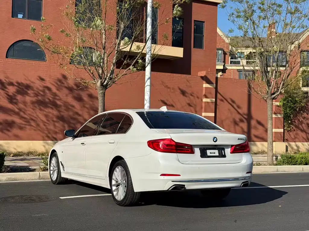 BMW 5 Series 2019 530Li Leading Edition Luxury Package