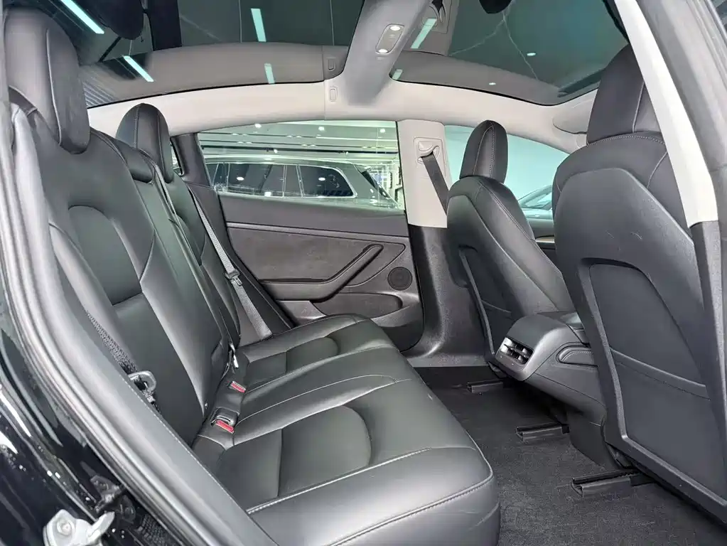 Tesla Model 3 2023 Rear-Wheel Drive