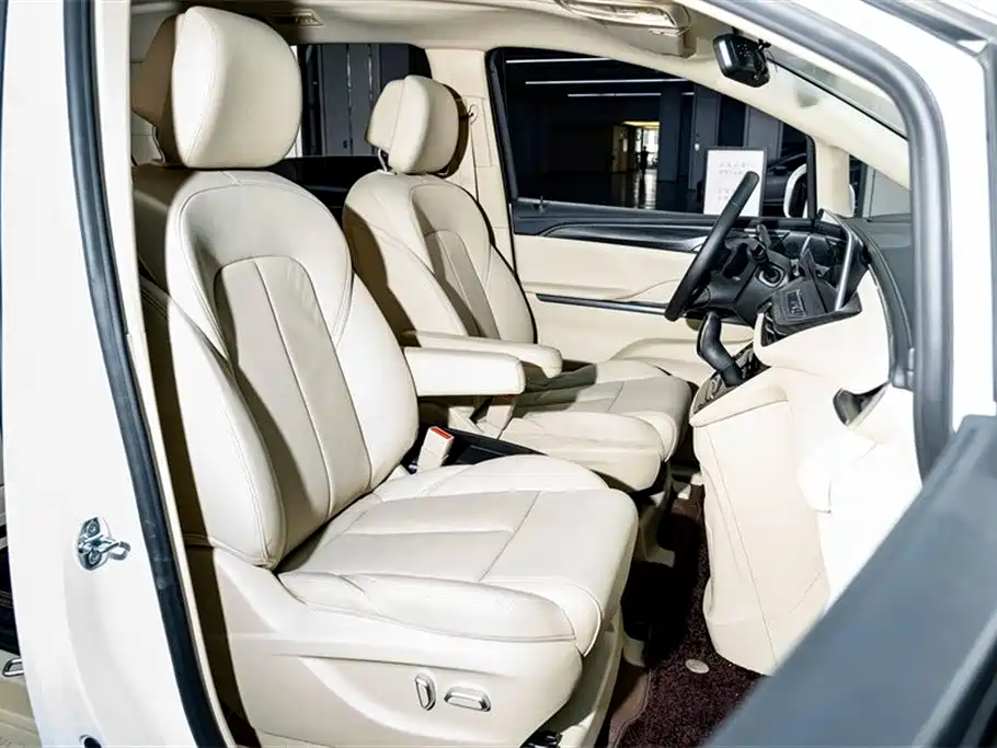 Buick GL8 2023 ES LuZun Premium
