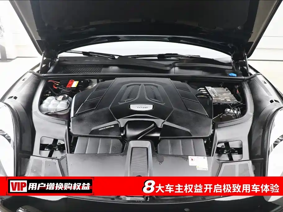 Cayenne 2023 Cayenne 3.0T Platinum Edition
