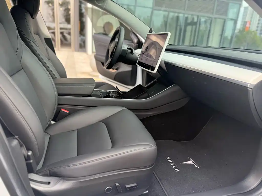 Model 3 2020 Standard Range Plus RWD