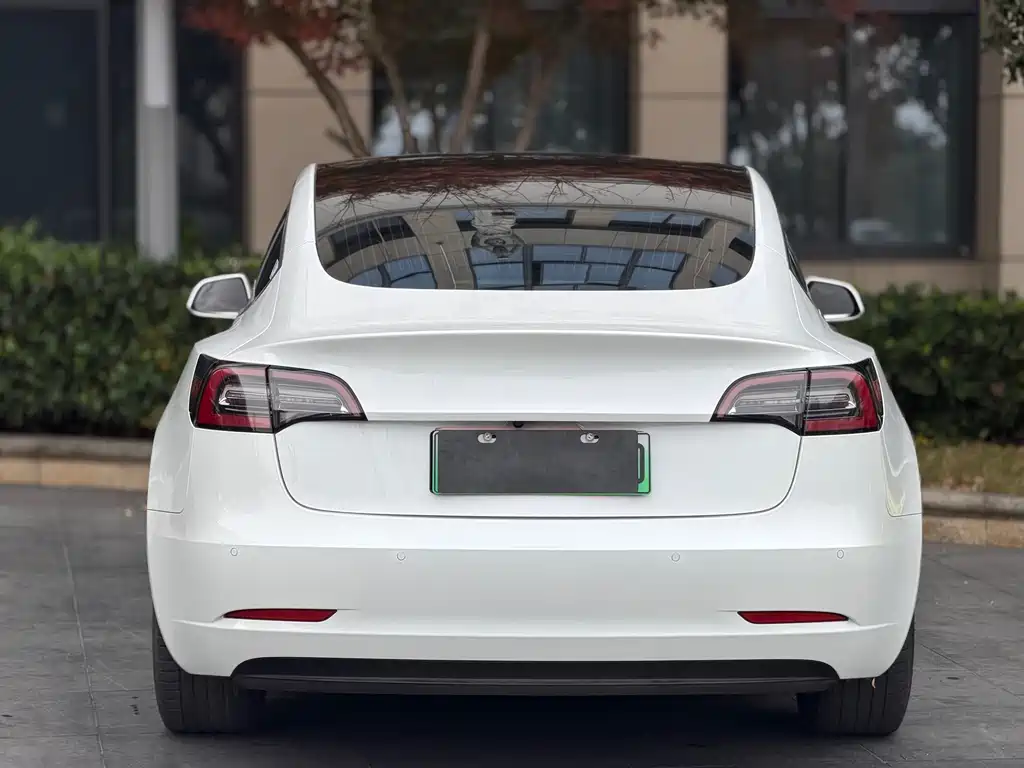Model 3 2020 Standard Range Plus RWD