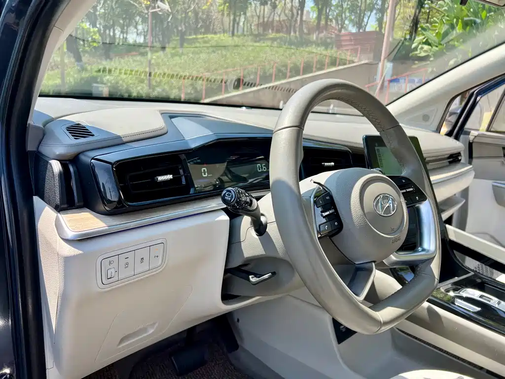 Hyundai Custo 2021 380TGDi TOP Premium
