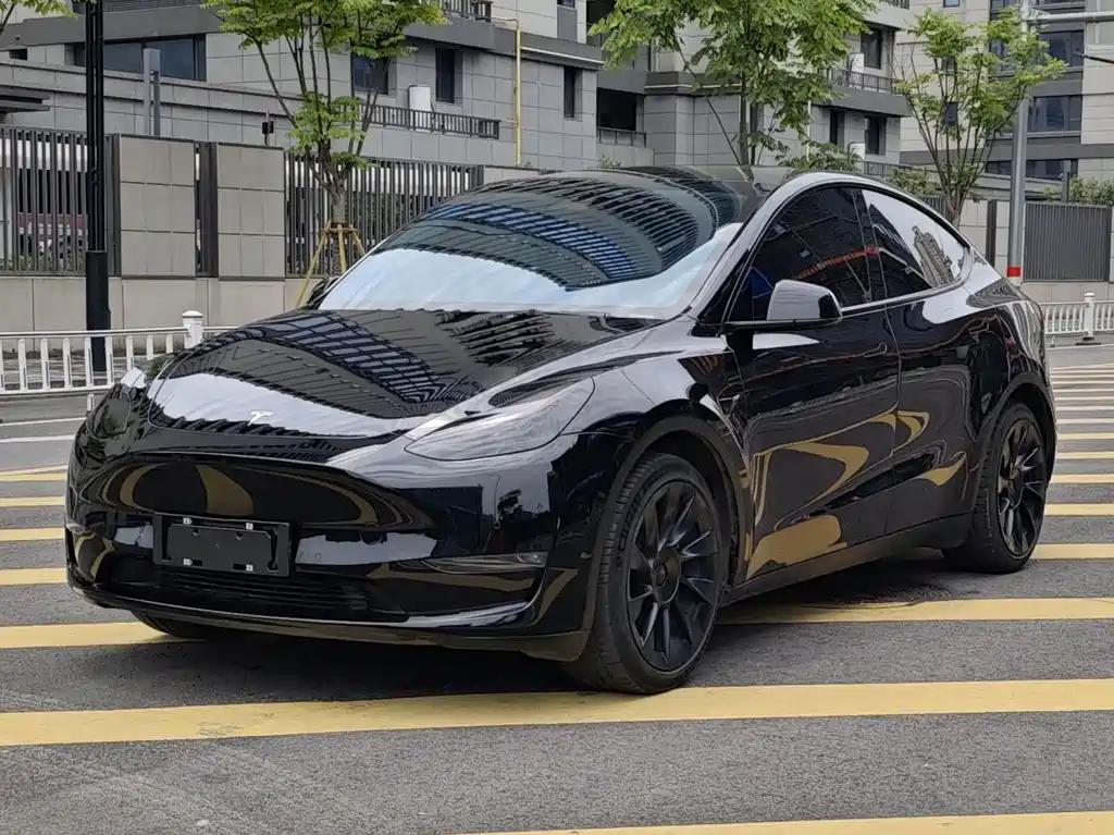 Model Y 2021 Standard Range RWD