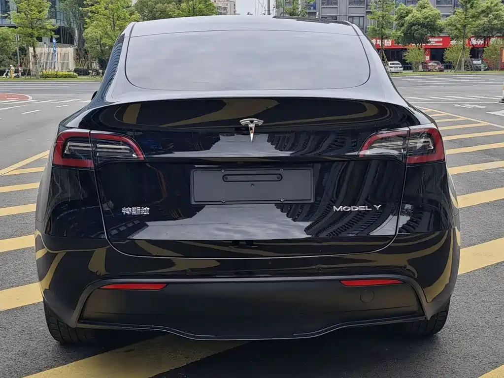 Model Y 2021 Standard Range RWD
