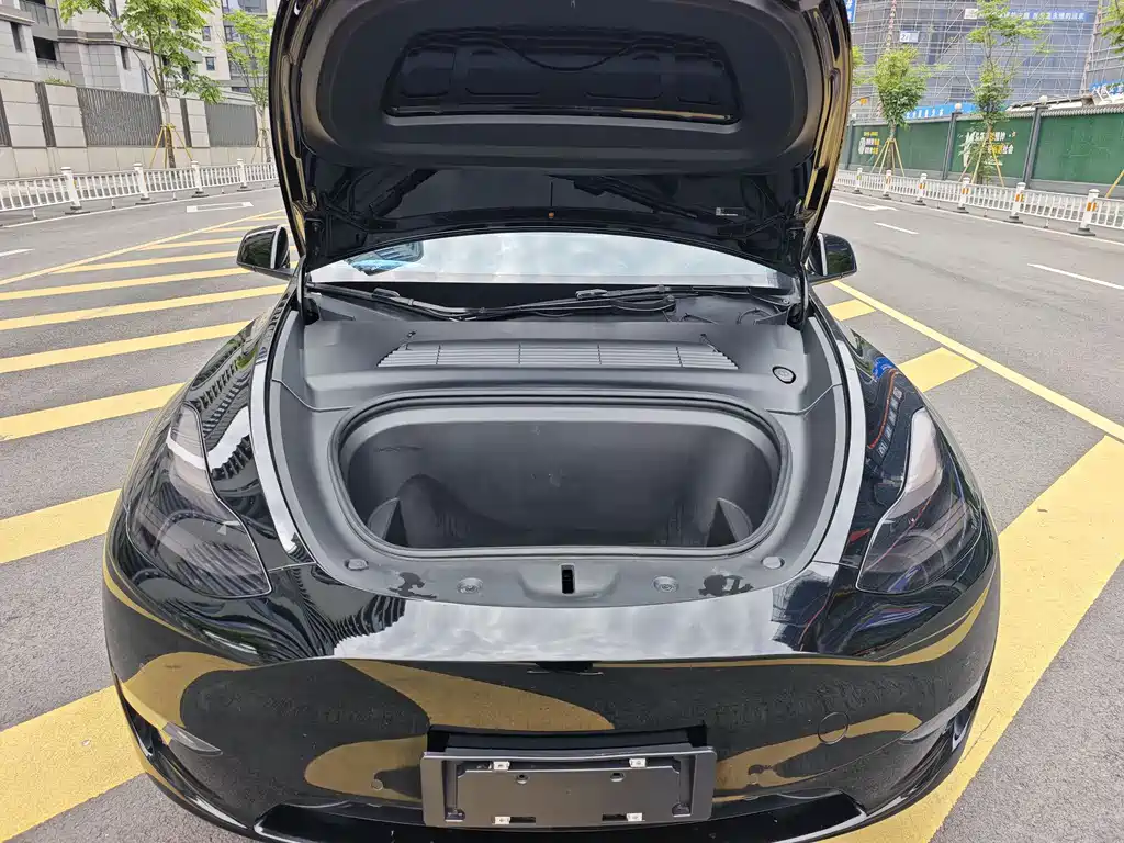 Model Y 2021 Standard Range RWD
