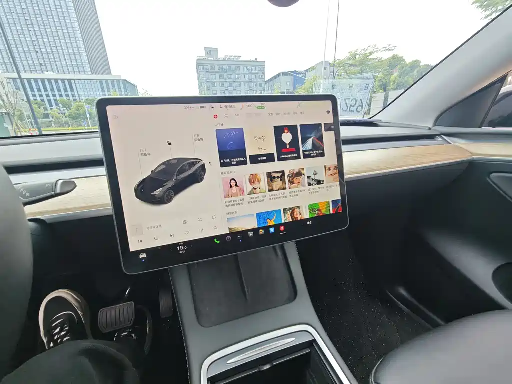 Model Y 2021 Standard Range RWD