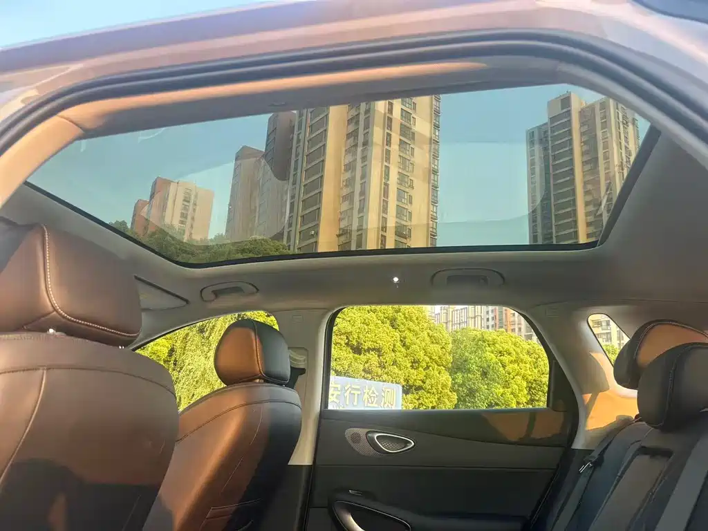 Sea Lion 05 EV 2025 520KM Smart Navigation Edition