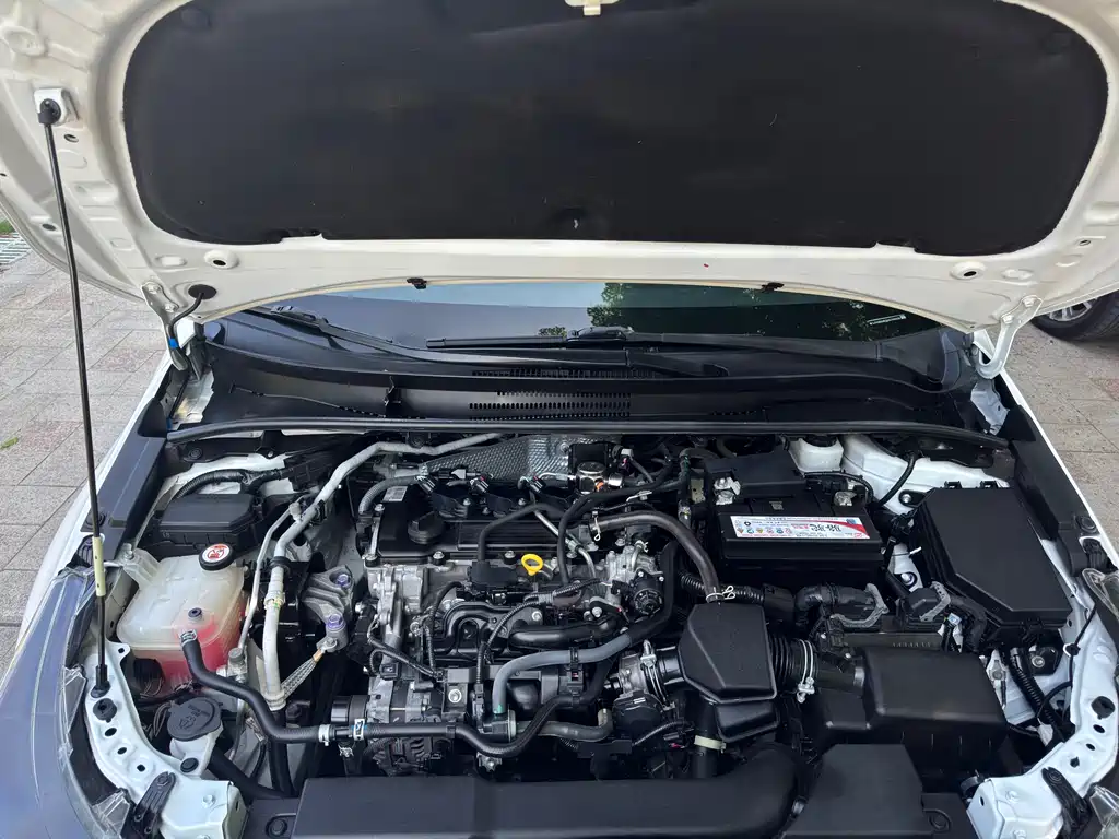Levin 2022 TNGA 1.5L CVT Elite Edition