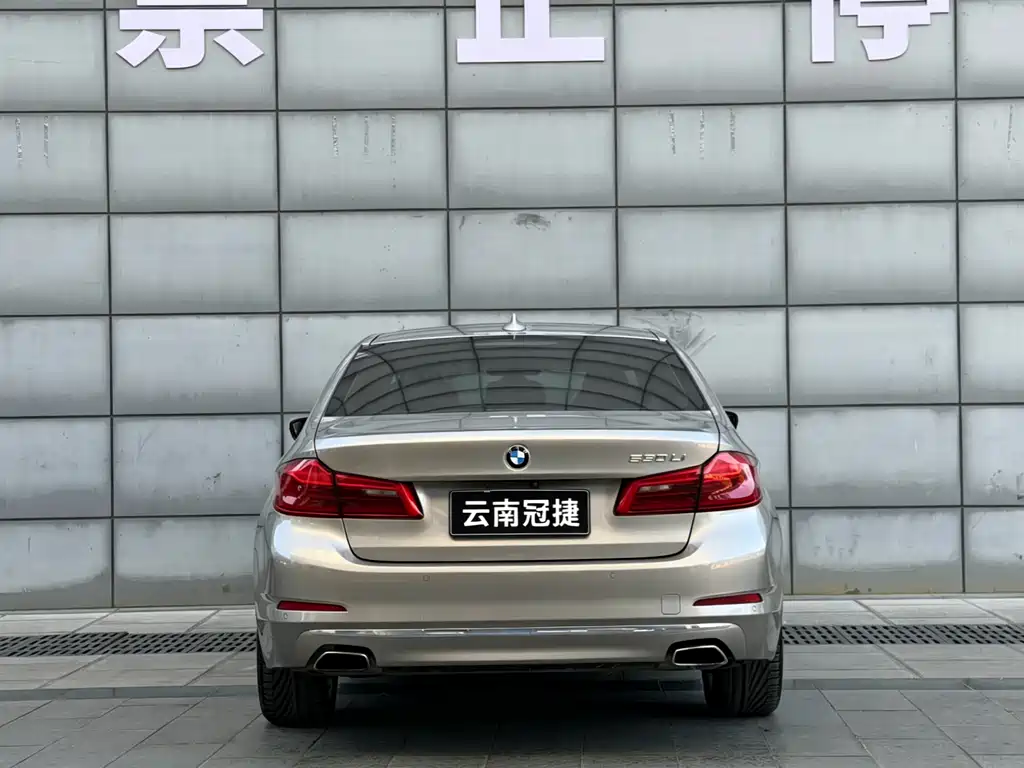 BMW 5 Series 2018 Facelift 530Li Leading Edition Luxury Package