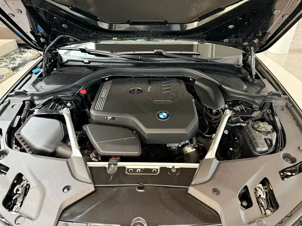 BMW 5 Series 2021 525Li Luxury Package