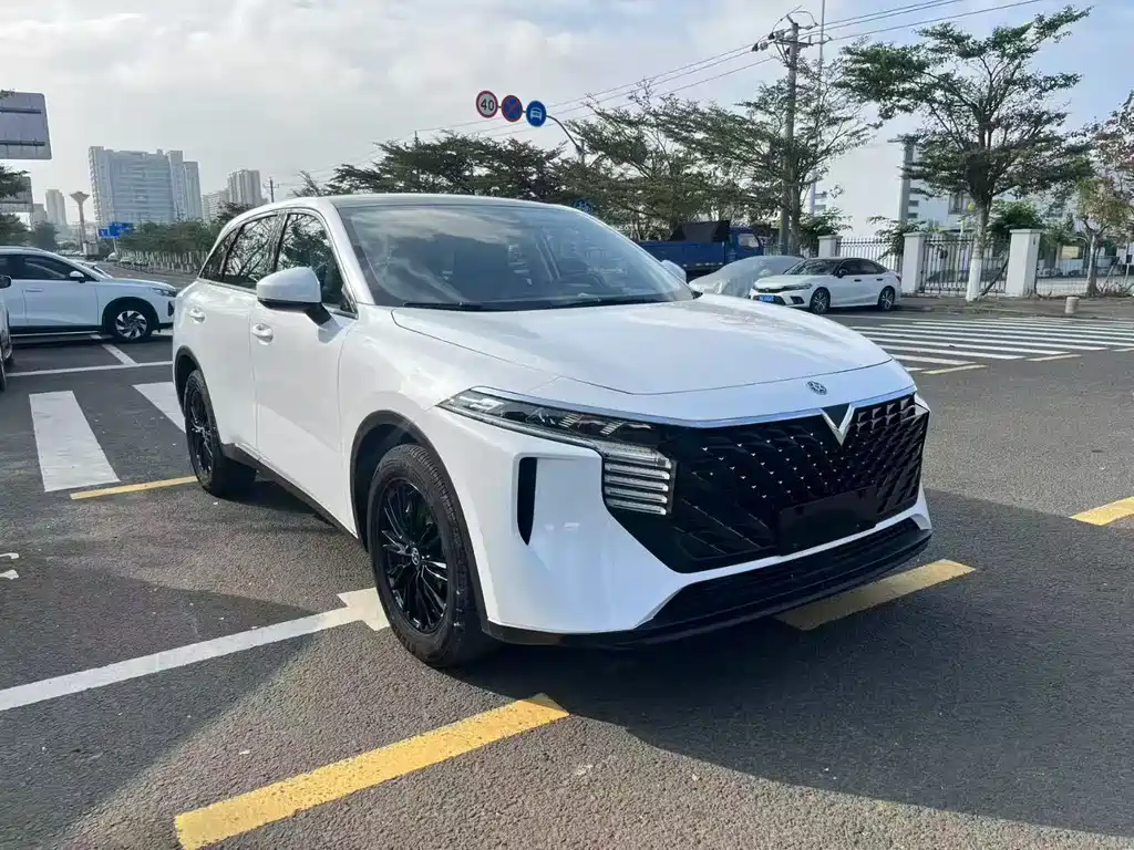 Venucia Big V 2022 260T Dark Horse Edition Aidou