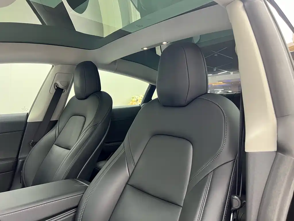 Model 3 2021 Performance AWD