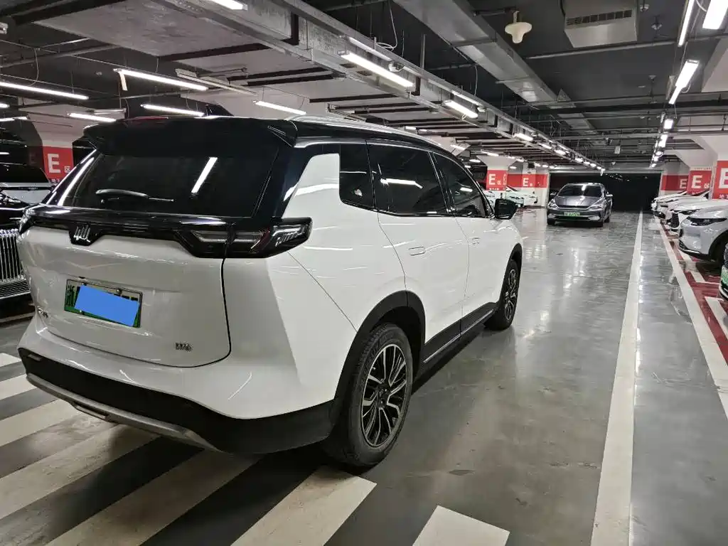 Weltmeister W6 2021 520km PRO Edition