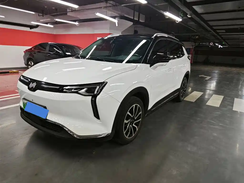 Weltmeister W6 2021 520km PRO Edition