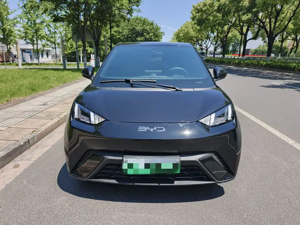 BYD Seagull 2025 305km Freedom Edition