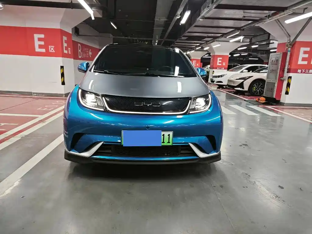 BYD Dolphin 2023 401km Knight Edition
