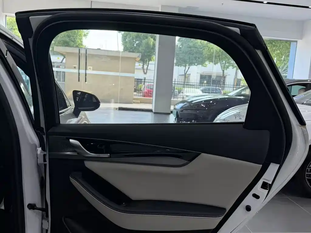 BYD Qin PLUS 2023 Champion Edition DM-i 120KM Excellence
