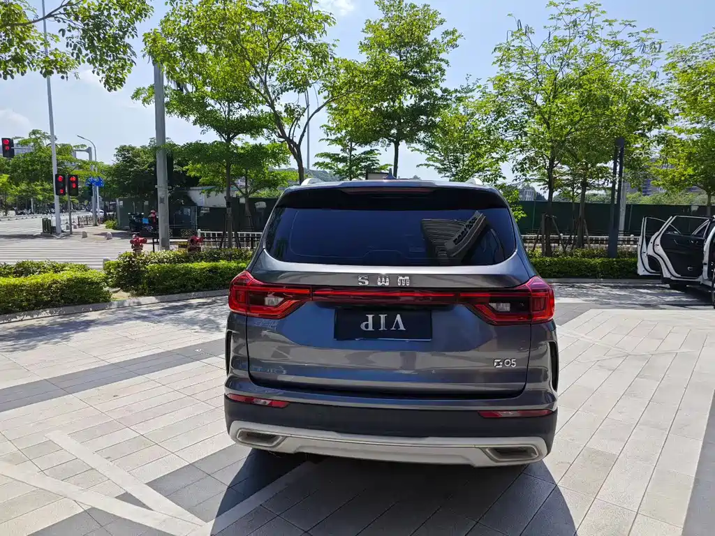 SWM G05 2019 1.5T Automatic Luxury Edition