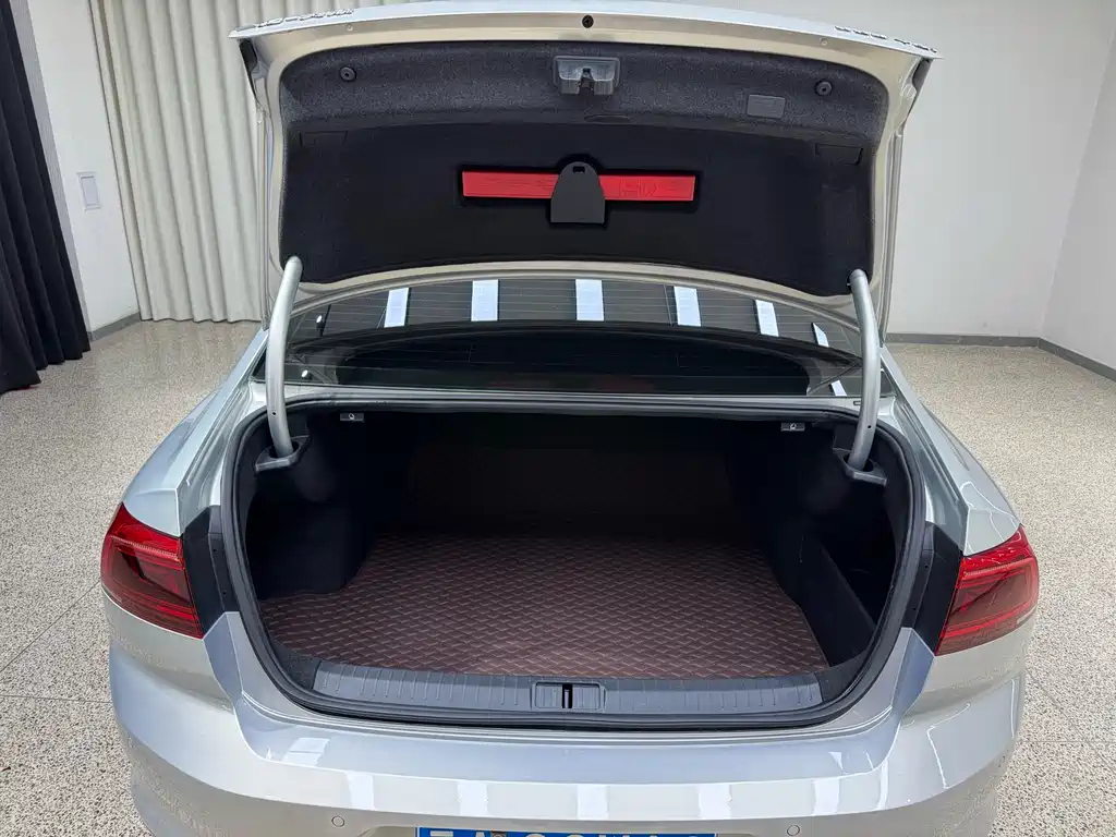 Magotan 2020 280TSI DSG Leading Edition