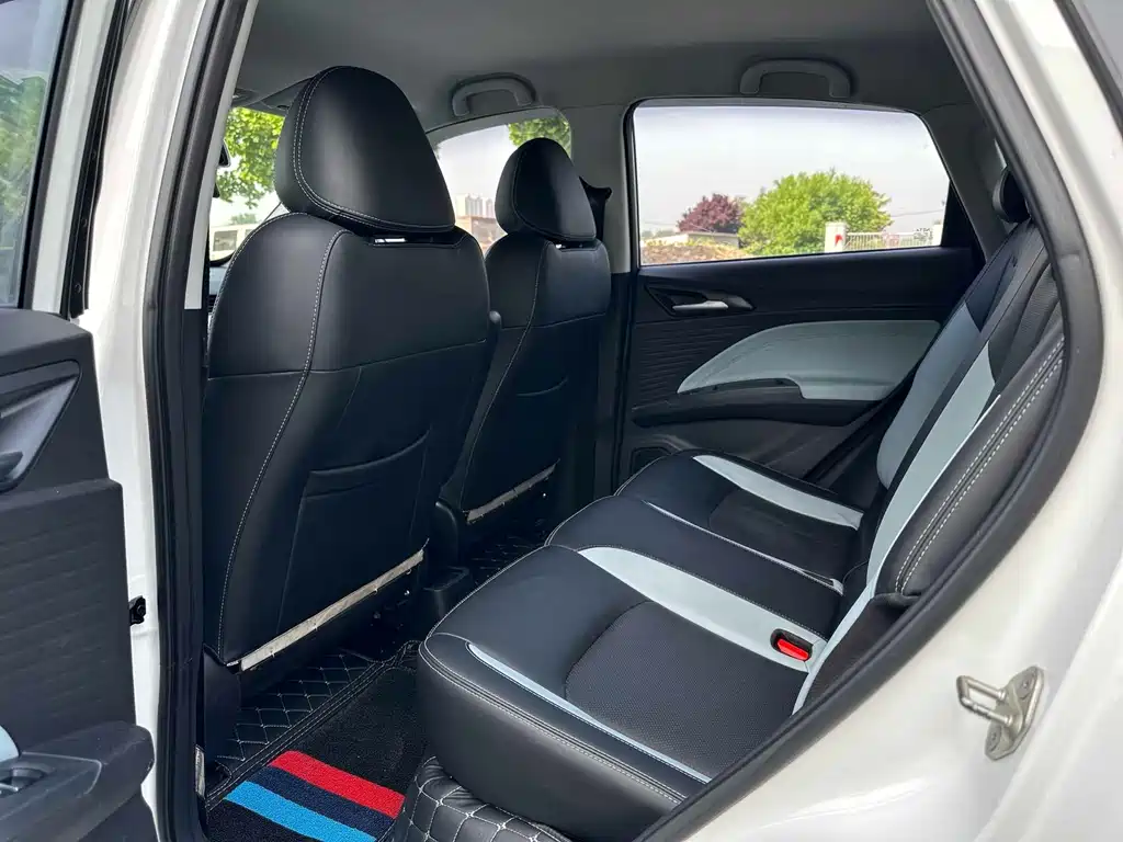 Neta V 2021 Ride-hailing Custom Edition