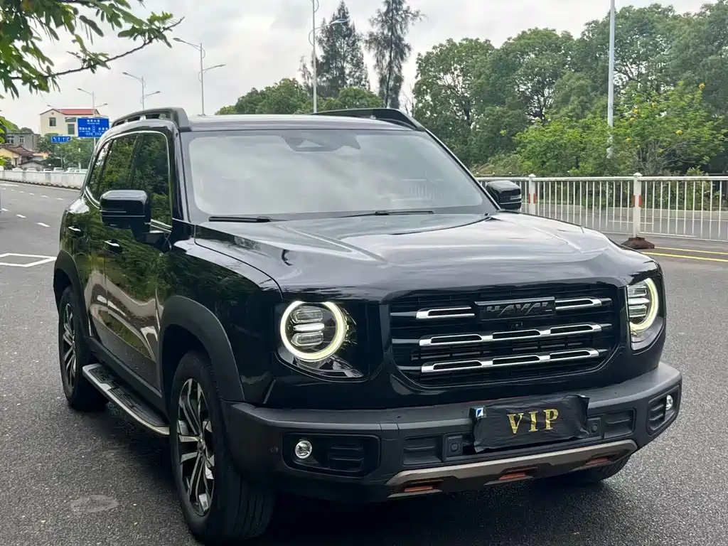 Haval Big Dog 2021 1.5T DCT 2WD Labrador Edition