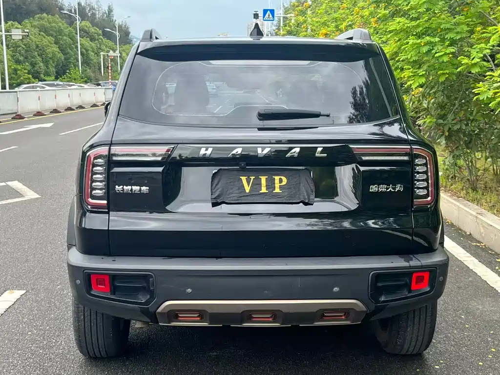 Haval Big Dog 2021 1.5T DCT 2WD Labrador Edition