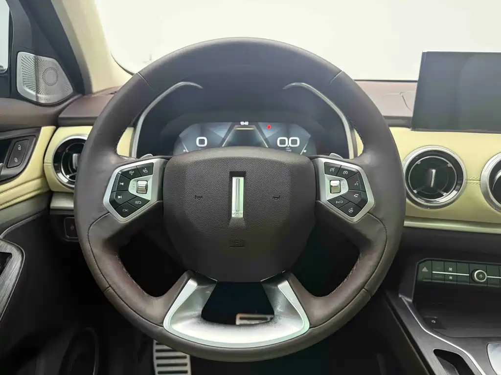 WEY VV6