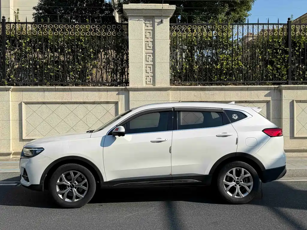 Haval H6 2021 1.5T Automatic Champion Edition