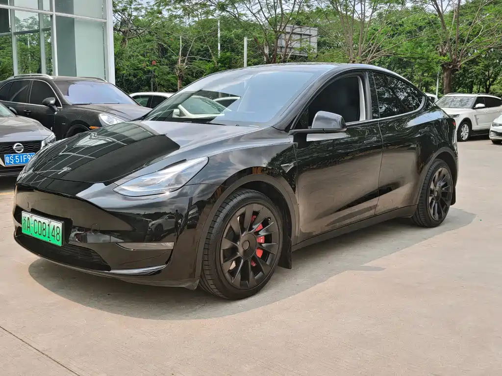 Model Y 2021 Long Range AWD 3D7