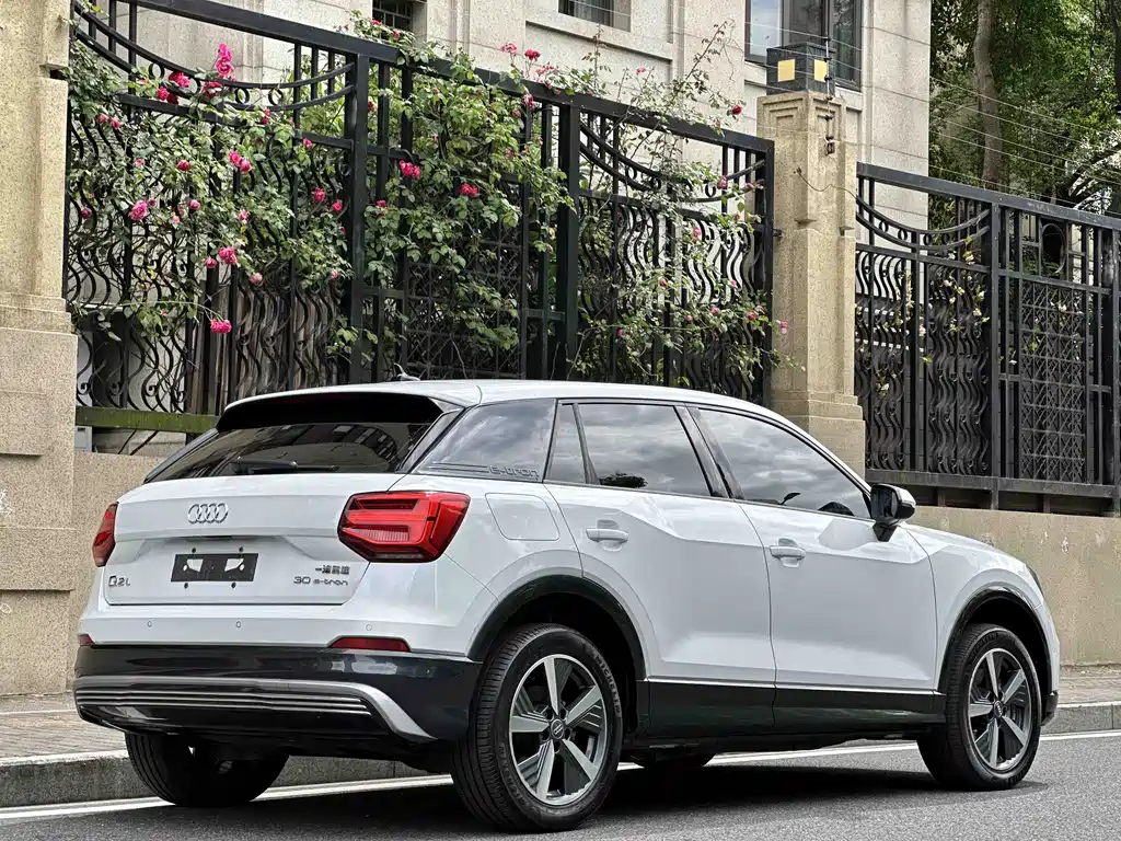 Audi Q2L e-tron 2019 Pure Electric Zhiku Trim
