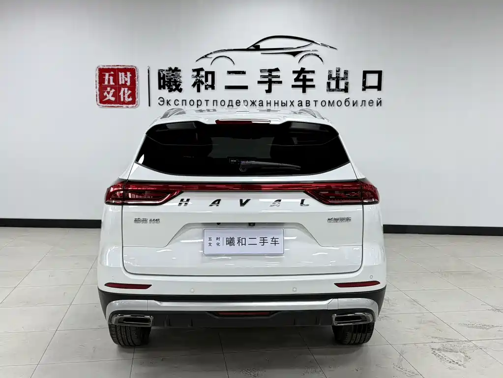 Haval H6 2021 Guochao Edition 1.5T Automatic Urban Edition