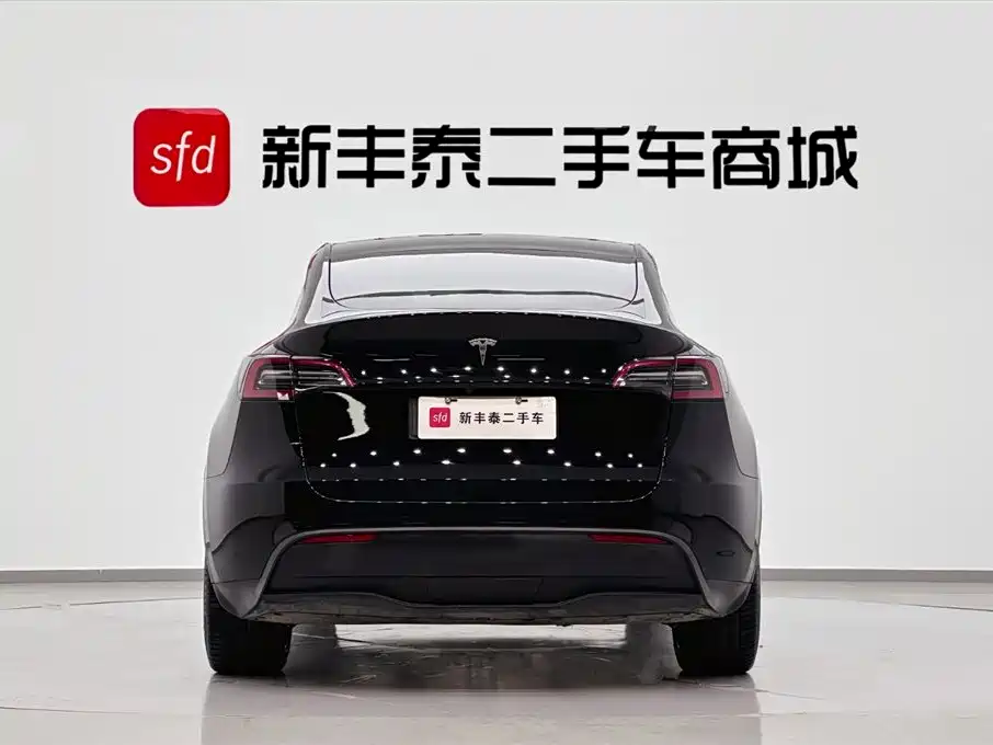 Model Y 2021 Standard Range Rear-Wheel Drive